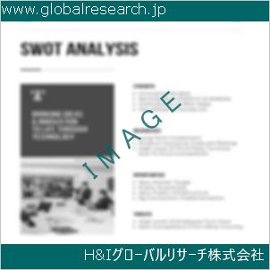グローバルリサーチ調査資料のイメージ